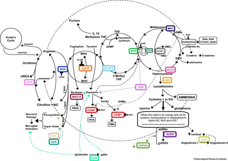 genetic testing methylation