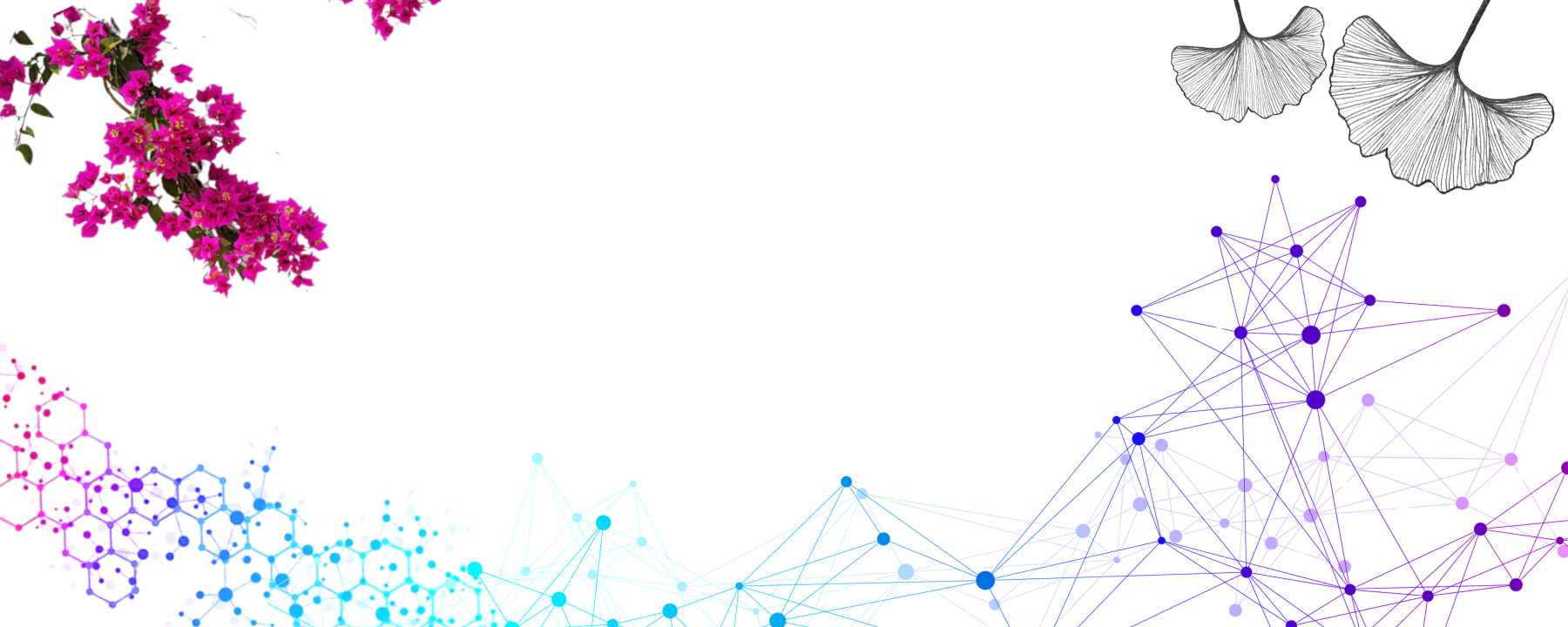 Sping_summer4 Sping_summer4