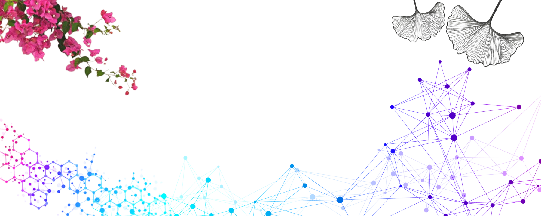 Spring, summer graphic