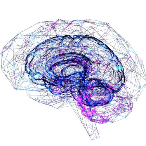 Neurotransmitter testing