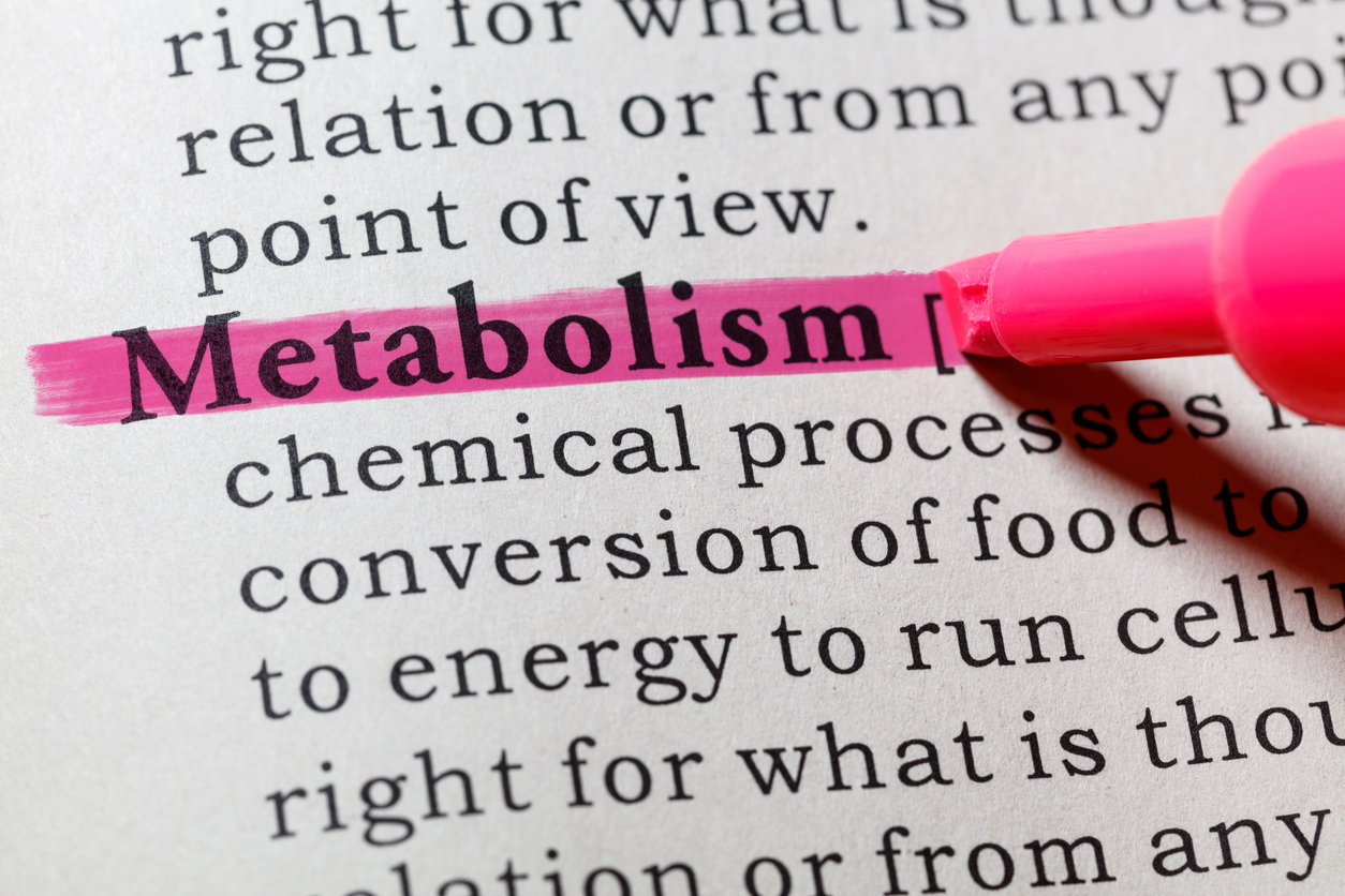 healthy weight and metabolism